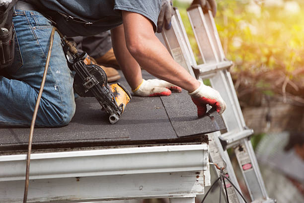 Best Roof Gutter Cleaning  in High Rolls, NM