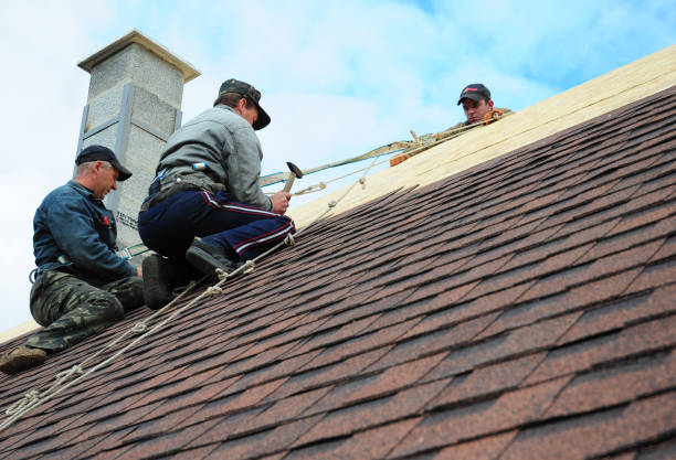 Best Roof Gutter Cleaning  in High Rolls, NM